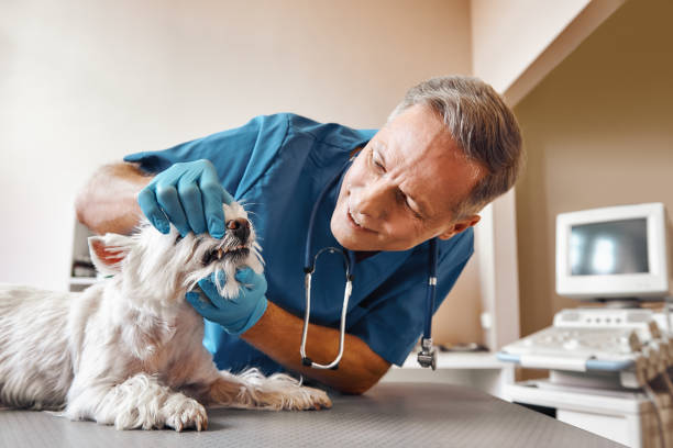 Best Emergency Tooth Extraction in Bradley, WV