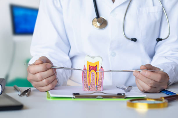 Best Emergency Orthodontic Repairs in Bradley, WV